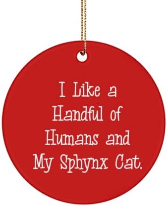 מתנות לחתול ספינקס סרקסטי, אני אוהב קומץ בני אדם וחתול הספינקס שלי, קישוט מעגל יפהפה לחברים מחברים, רעיונות למתנה לחתול