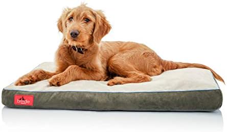 מיטת כלב קצף של זיכרון מגורר עם כיסוי נשלף לכיסוי רחיץ -נשלף מיטת חיית מחמד אורתופדית - 28X18 אינץ ' - חאקי